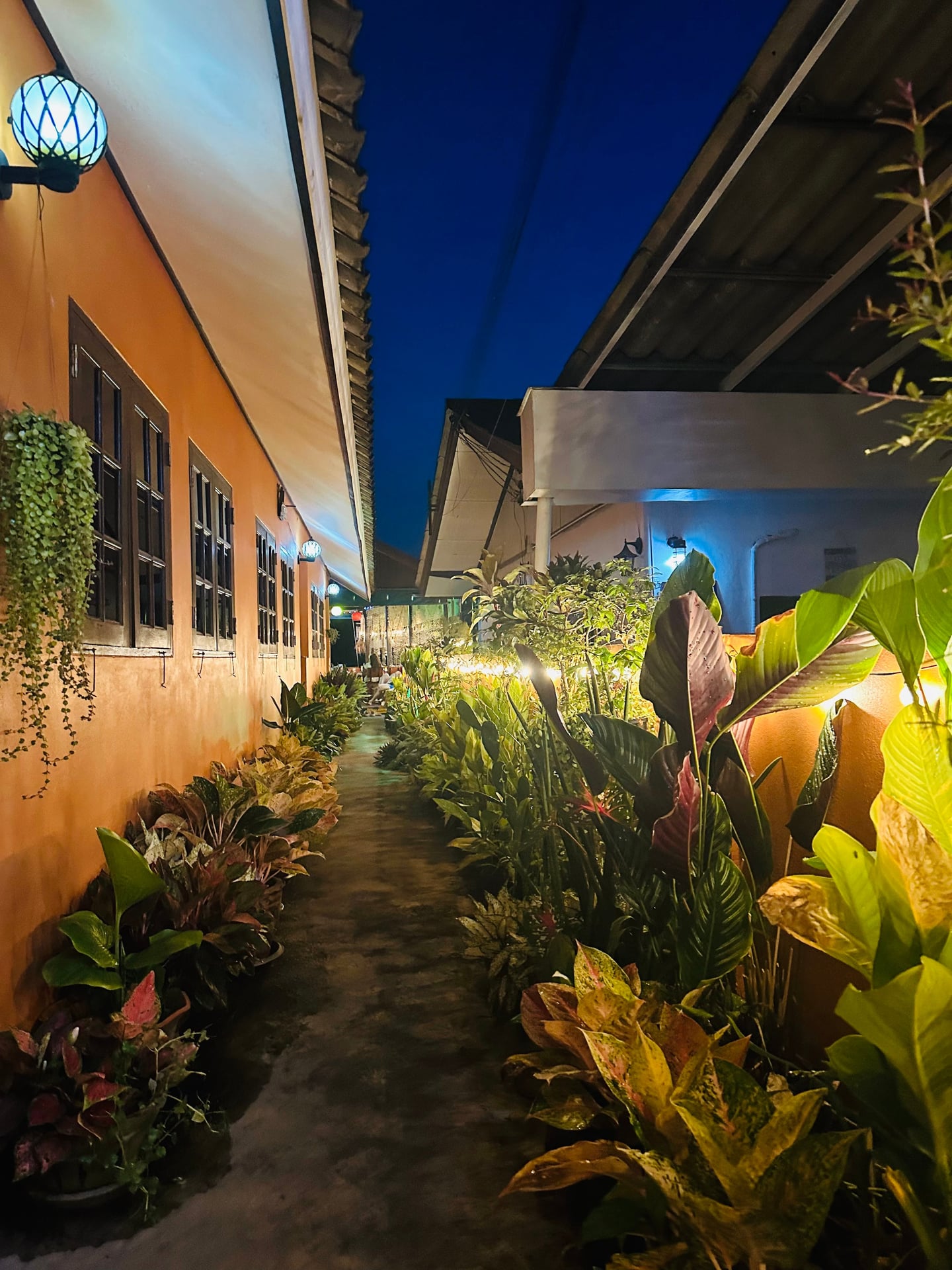 Sapparot Bar & Bungalows