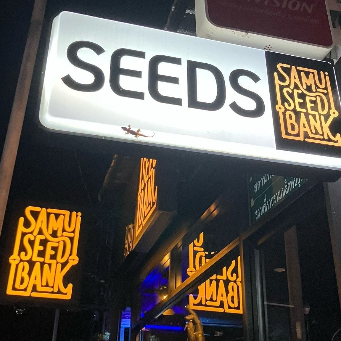 Samui Seed Bank