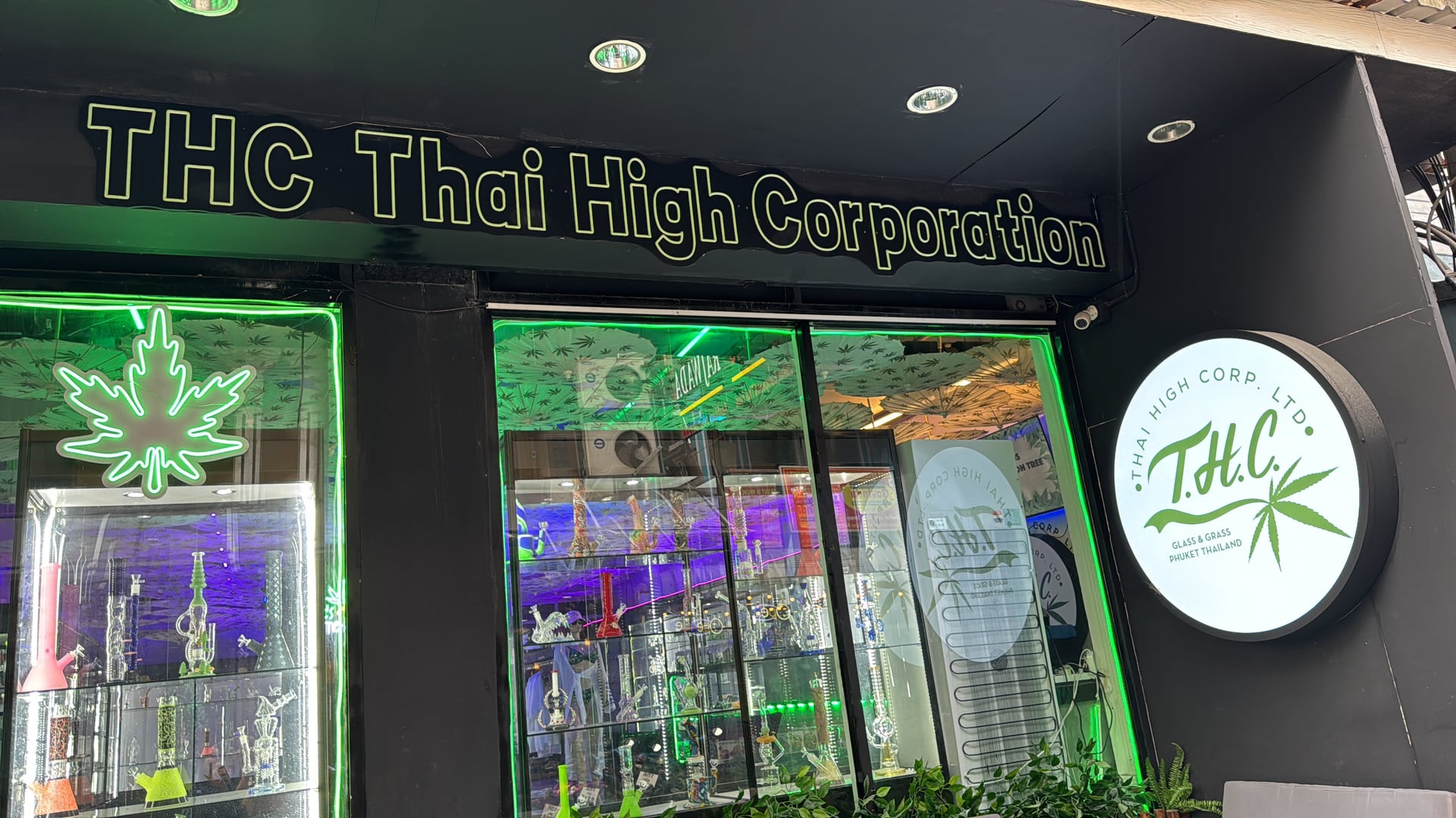 THC Thai High Corporation - Cannabis