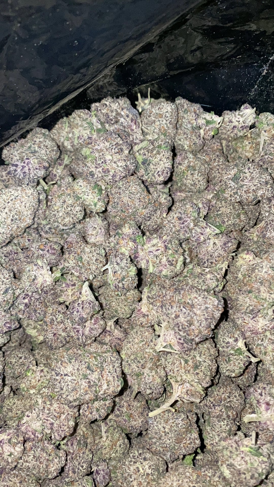 WEED THE OPP High Zone