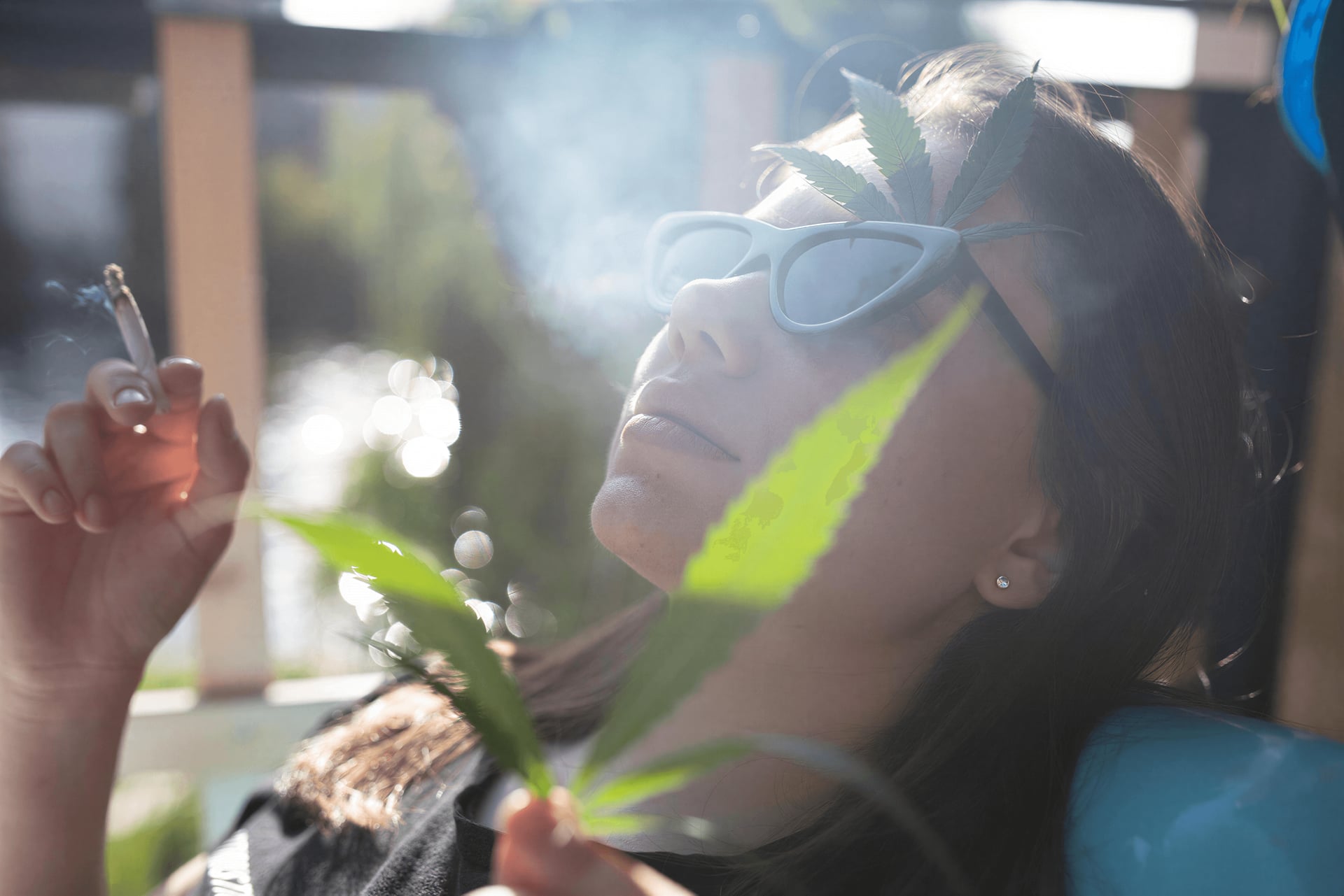 Mad Monkey 420