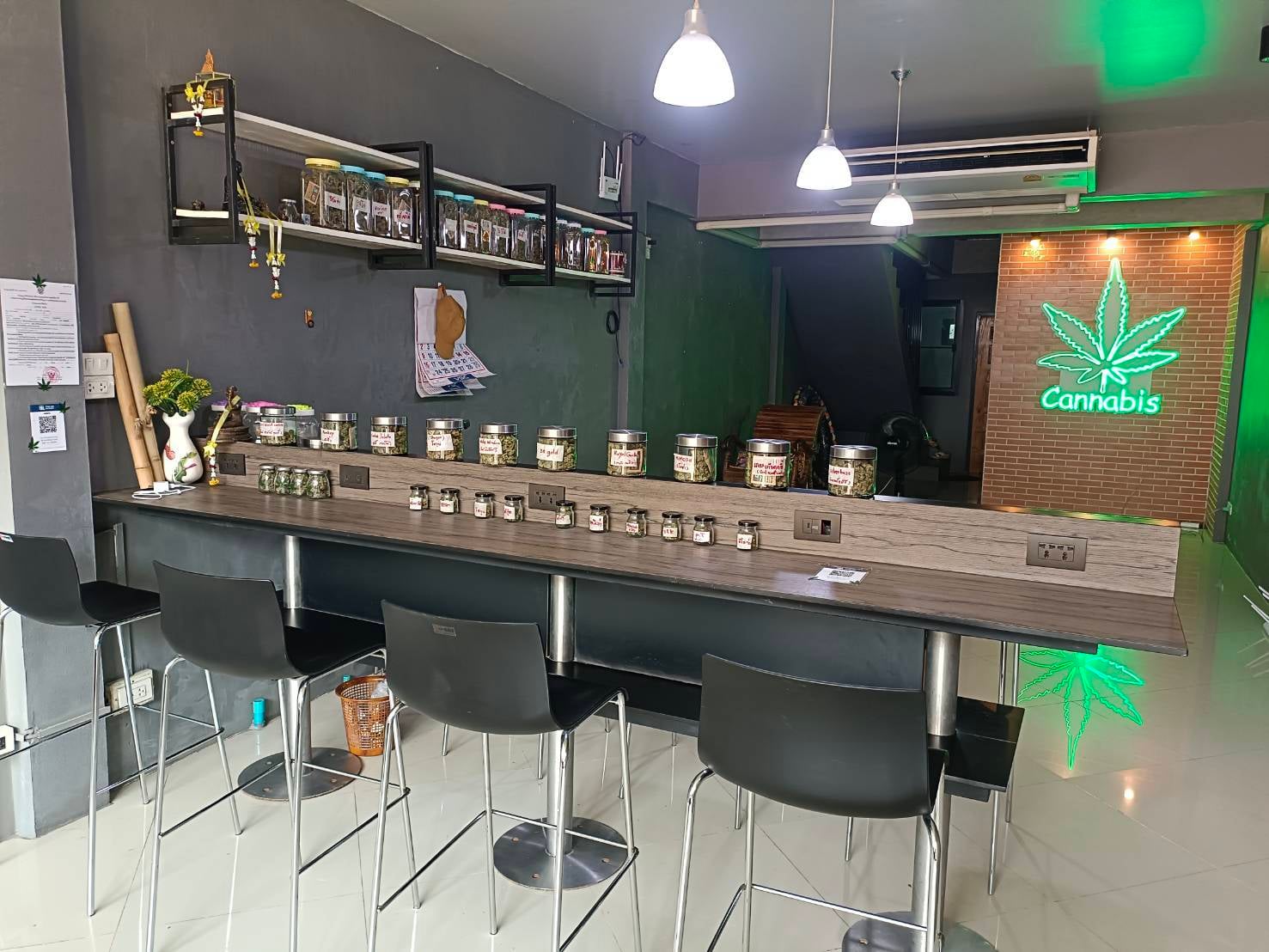 Jack Herer Salok Bat