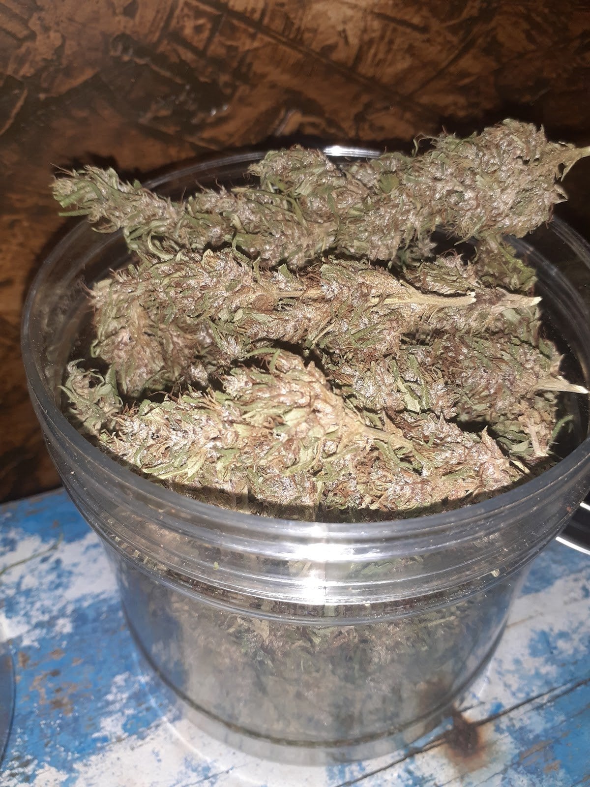 CannabisShop Chumphon Cannabis