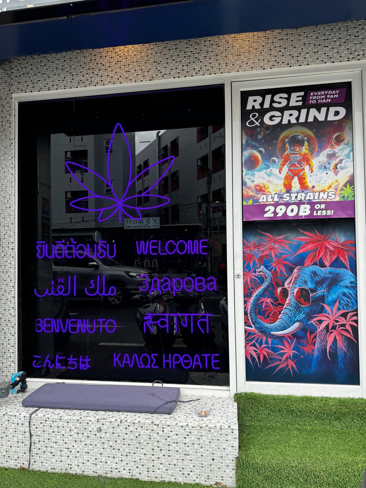 Mintz - Best Weed Phuket