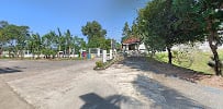 Cheap Cannabis Phuket