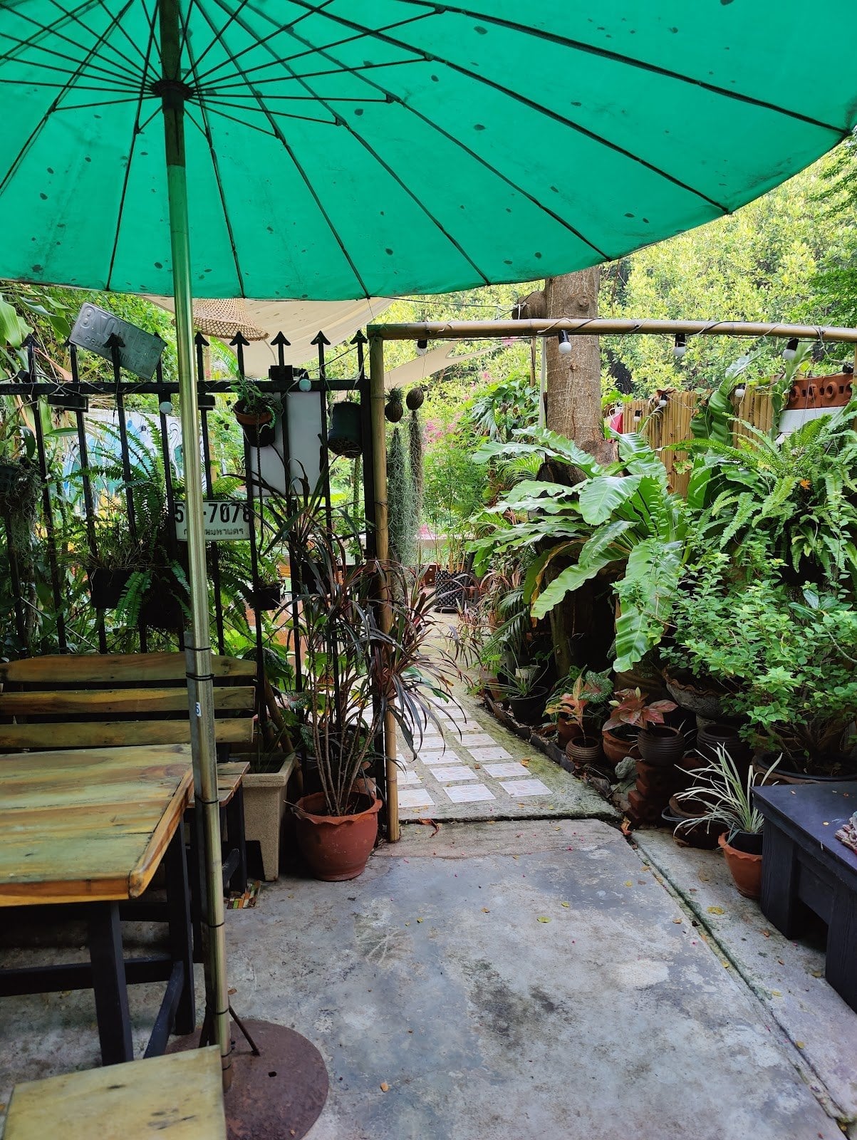 Jungle Joint
