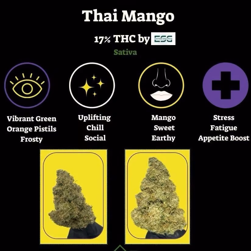 Cannabis Social Club Boxer in Bangkok logo
