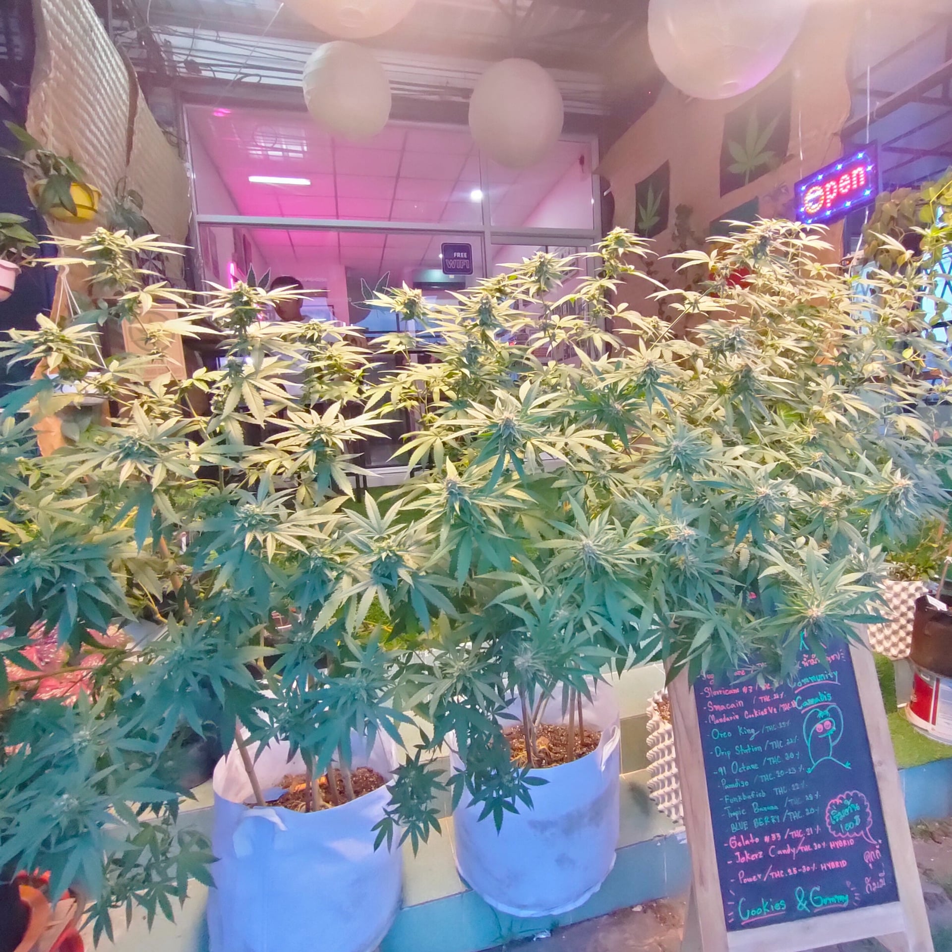 Community Cannabis