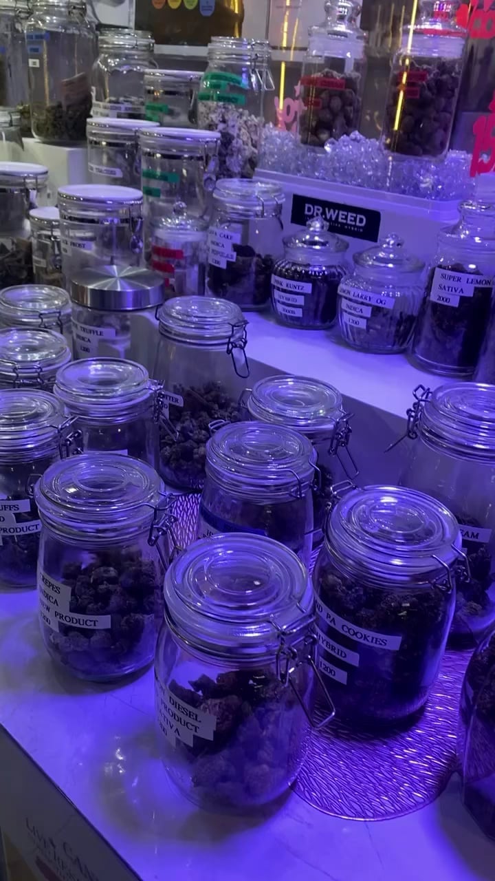 Dr Weed Patong