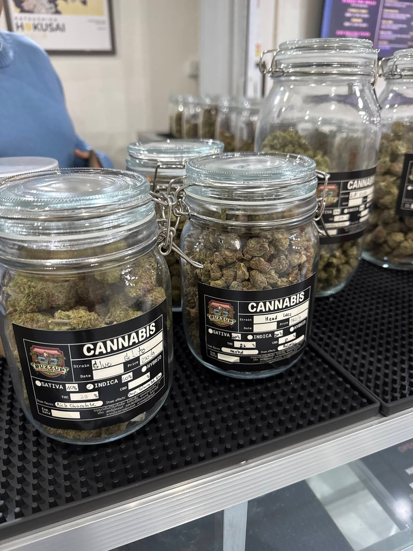 Buzzup Cannabis Shop & Guesthouse - Fang's Unique Terroir & Terpene-Rich