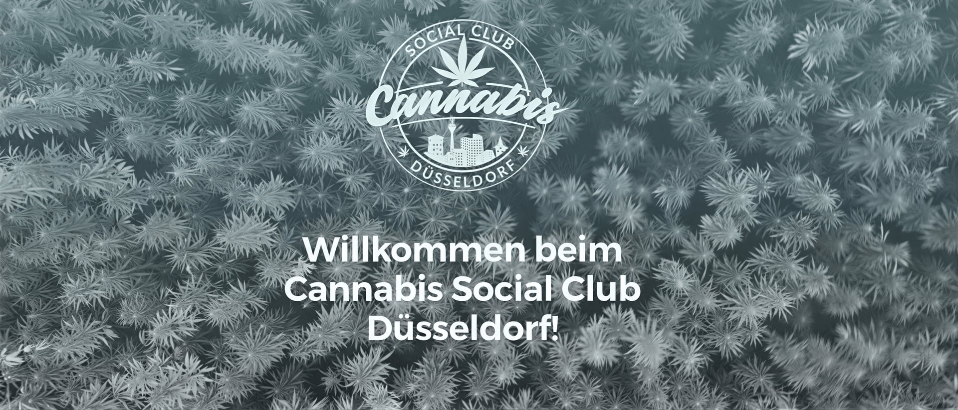 Cannabis Social Club Düsseldorf e.V. hero