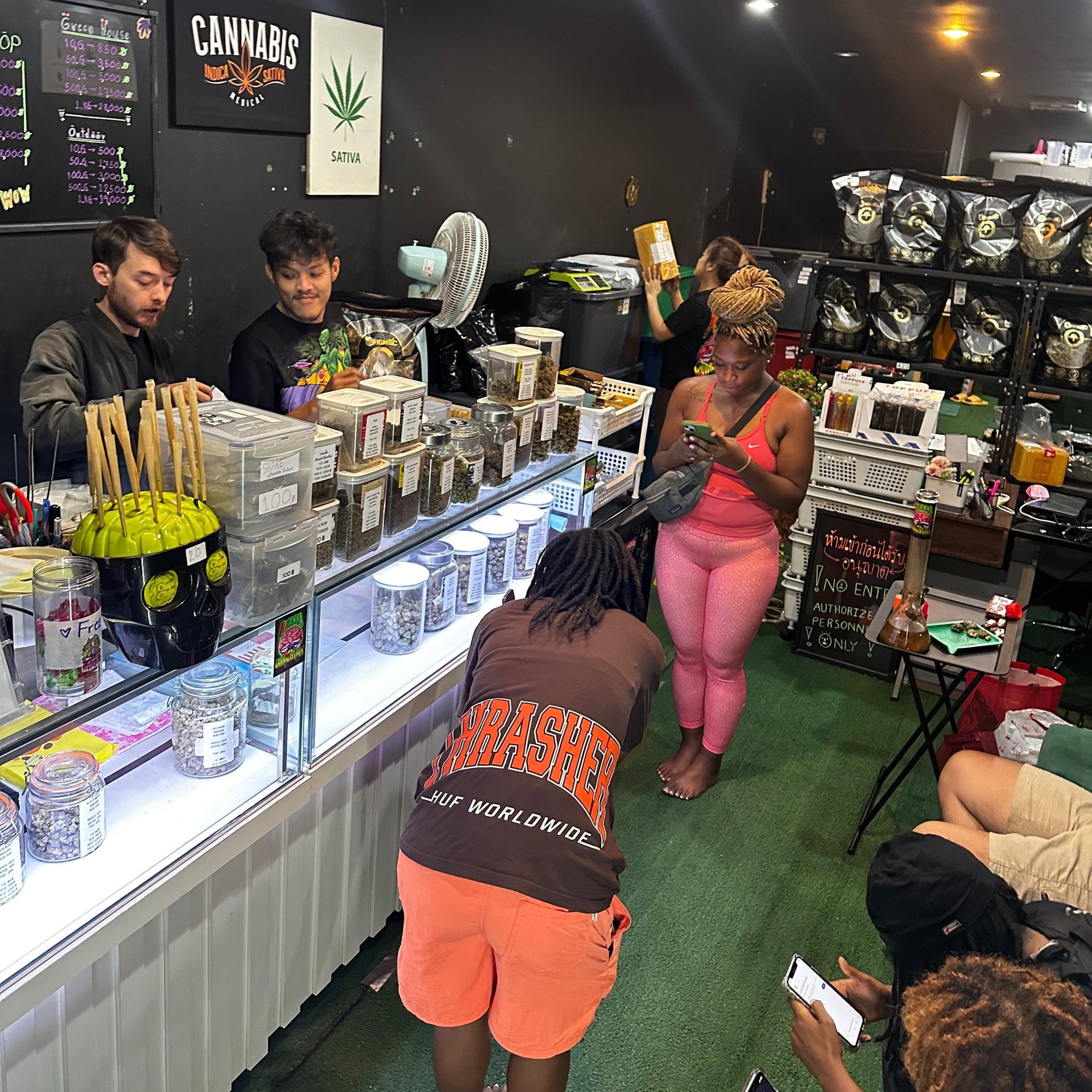 Iq Tr Cannabis Sativa L