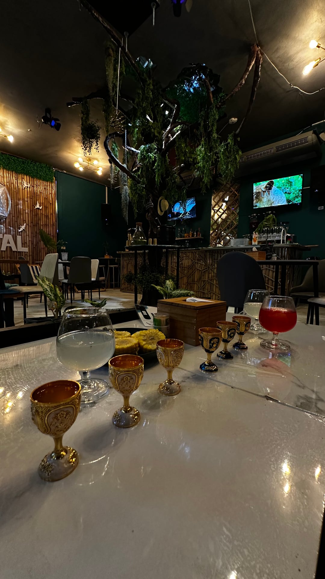 LATOTAL - Concept Bar