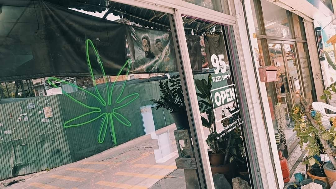 95Weed