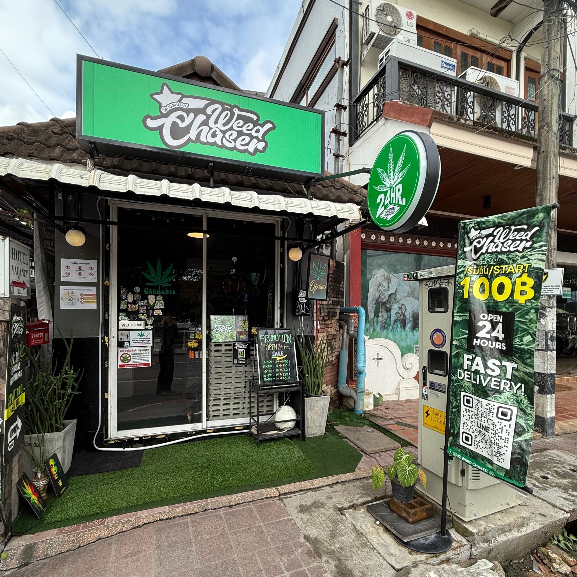 Weed Chaser - Weed Shop Cannabis Store 24Hr Thapae Gate CNX