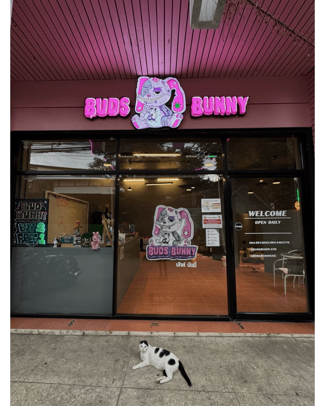 BUDS BUNNY