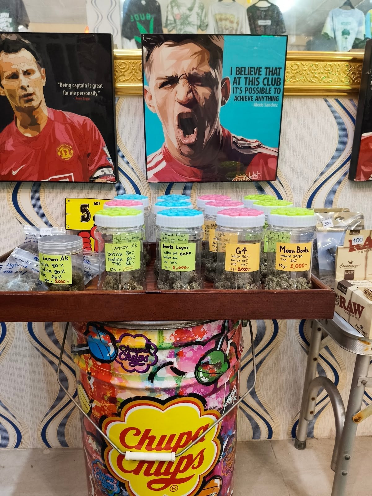 Cannabis & Hostel