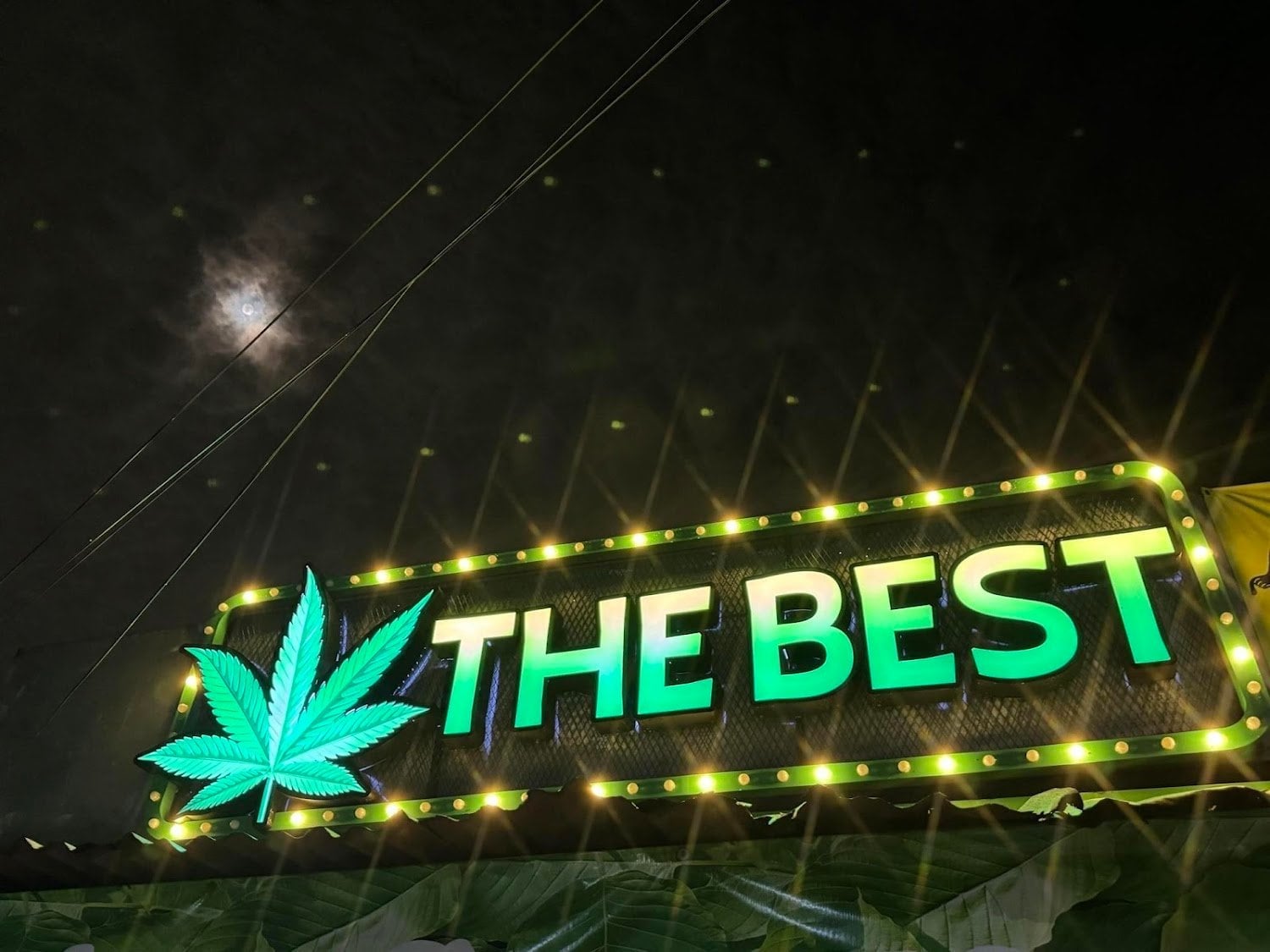 The Best