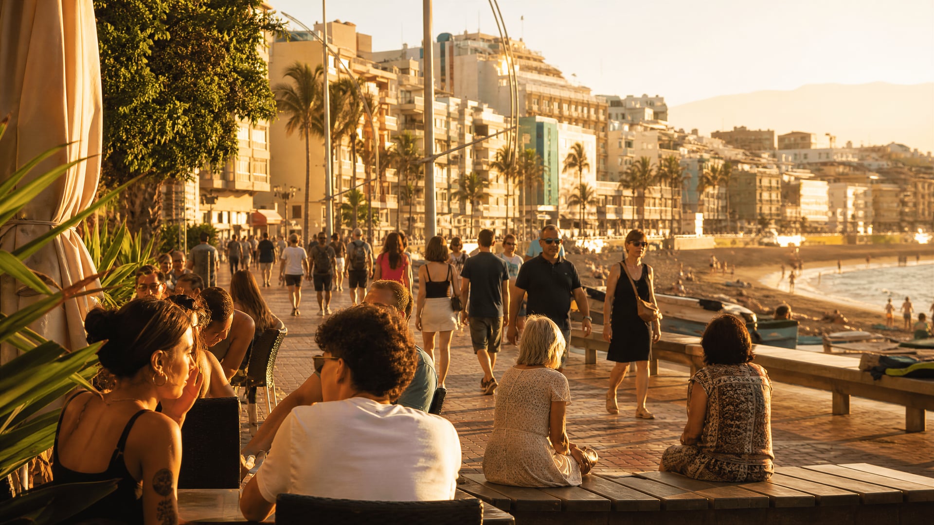 Promenada Las Canteras w Las Palmas de Gran Canaria obok kultury społecznego klubu konopnego