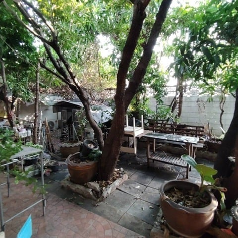 Sweed Home