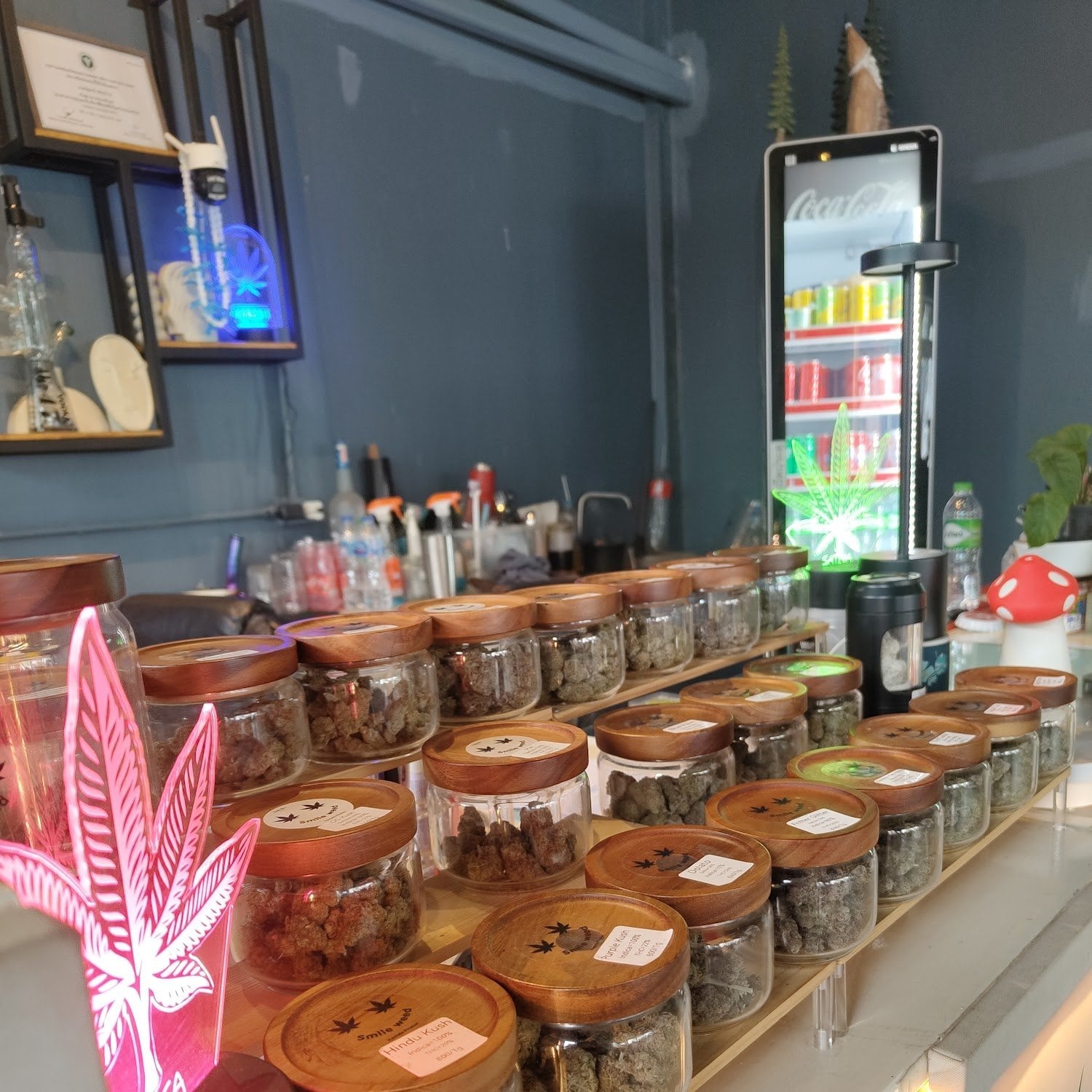 Smile Weed Kamala Phuket