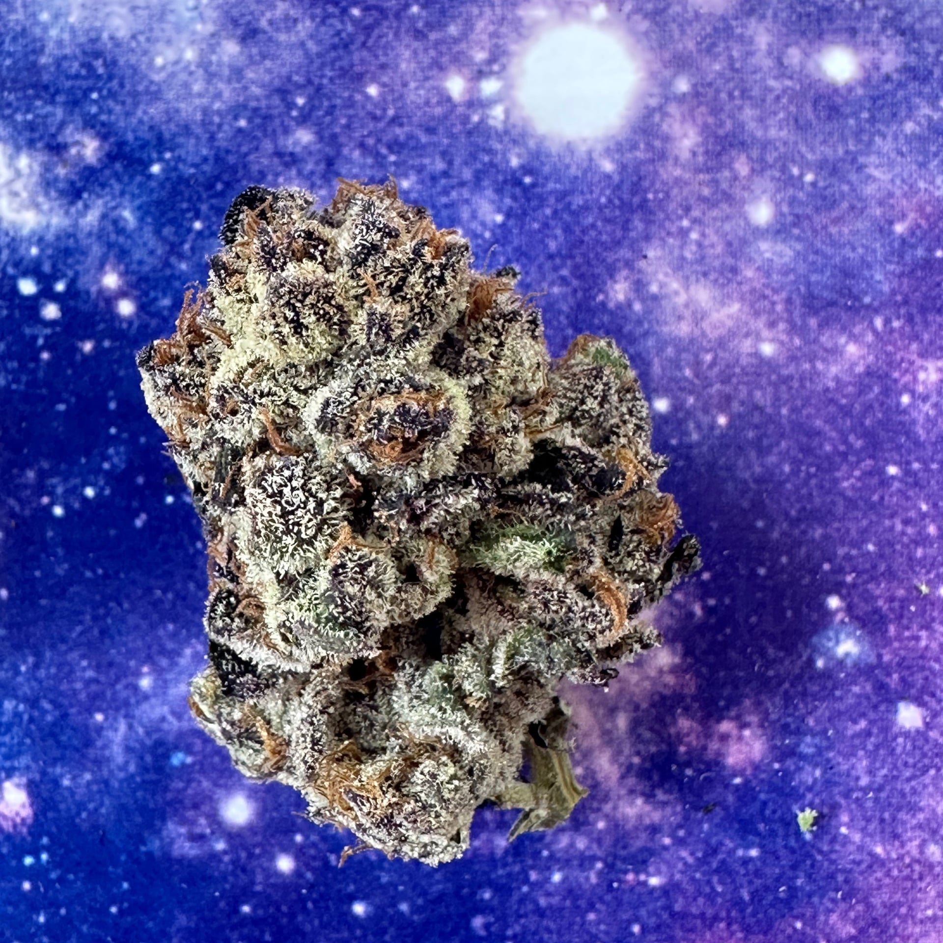 Wonderfarm Cannabis