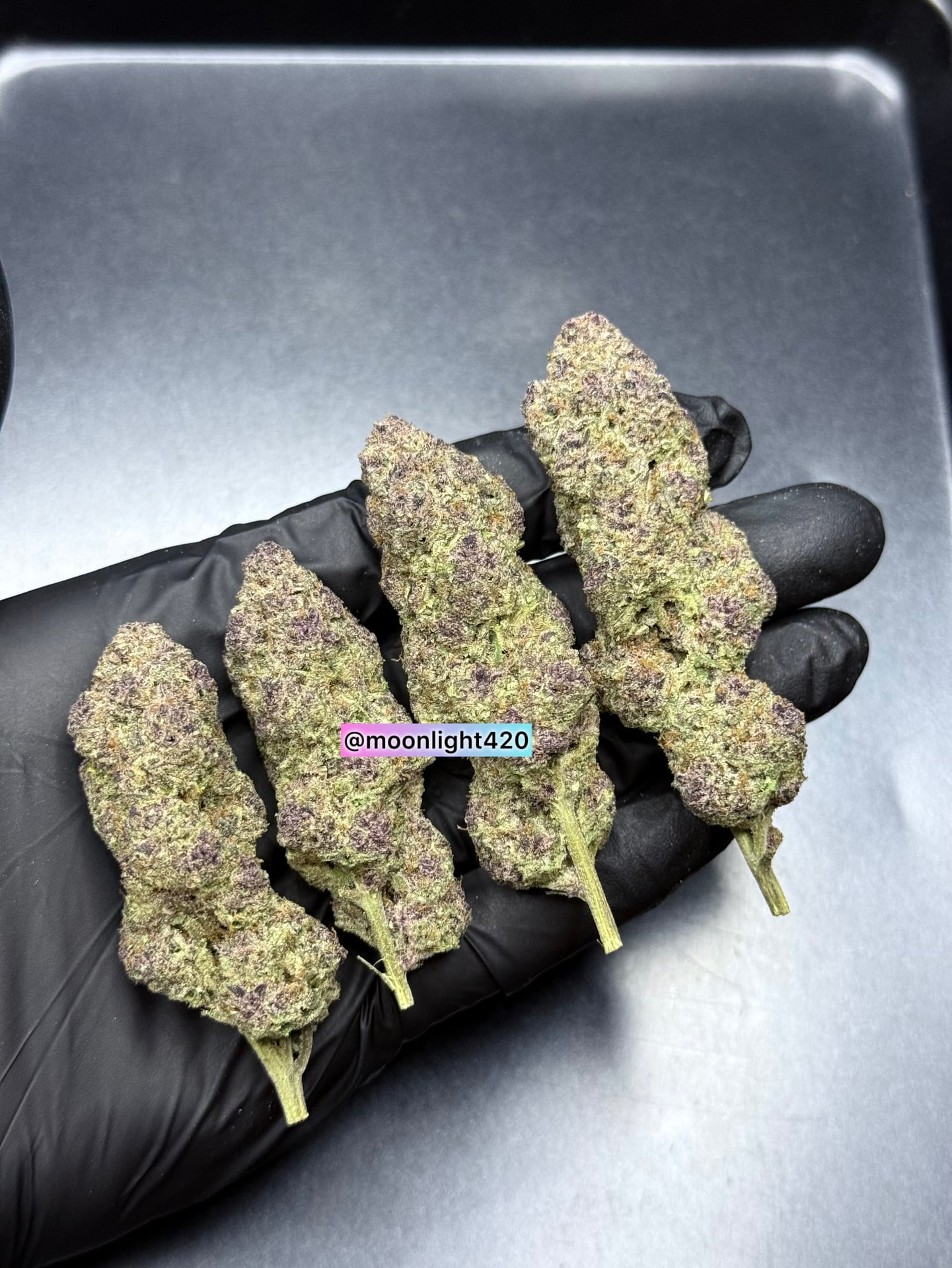 Moonlight420