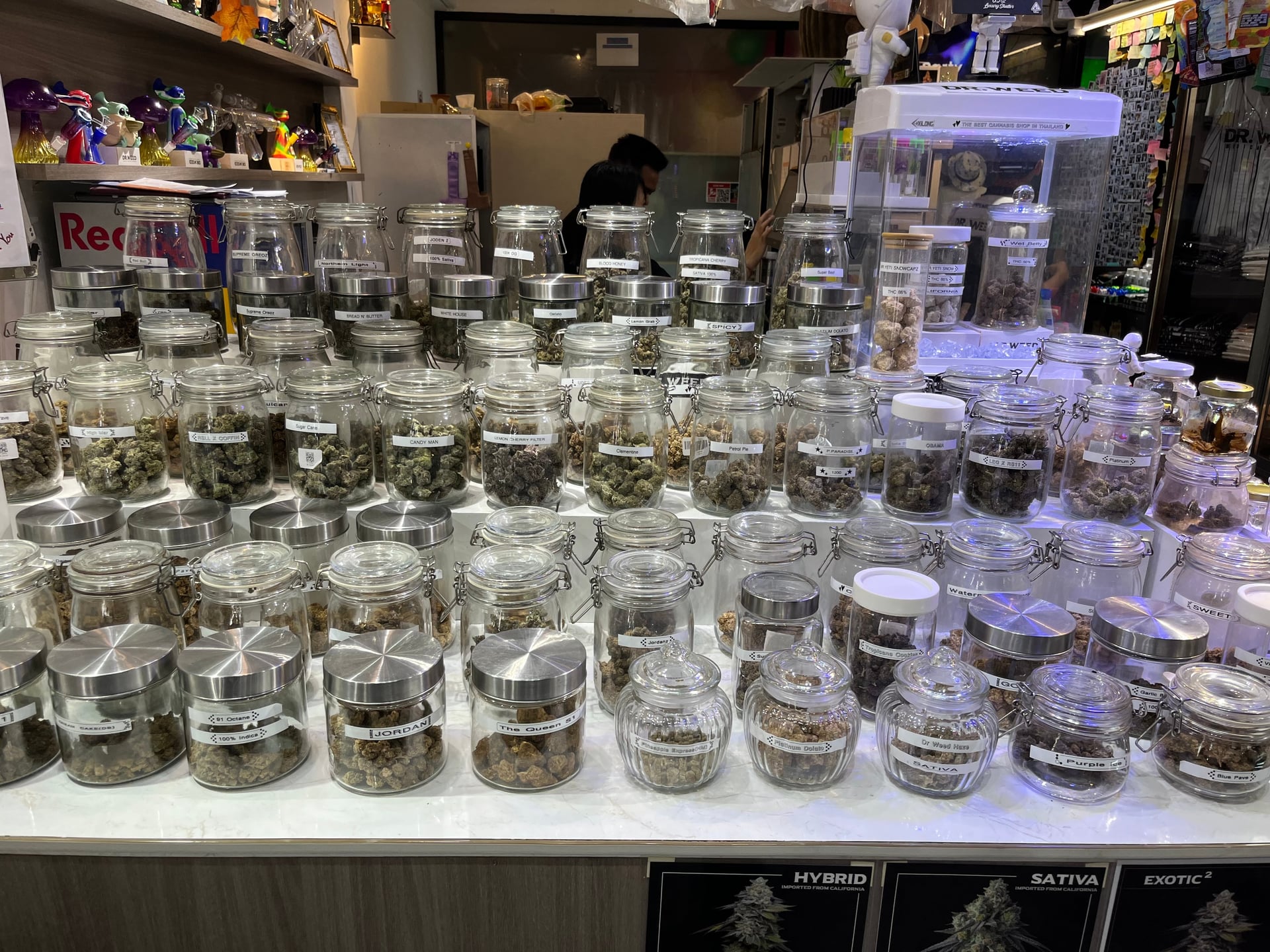 Dr Weed Patong