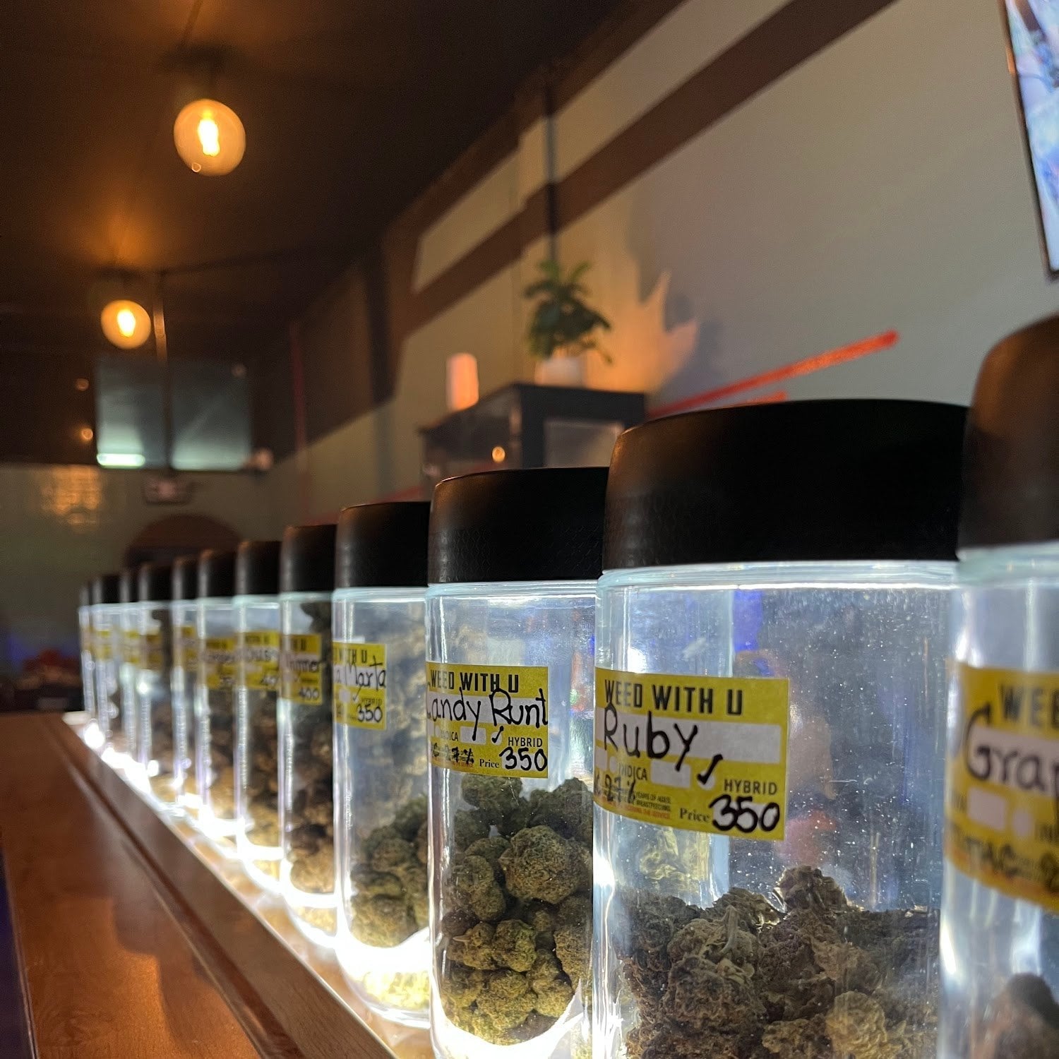 Weed With You