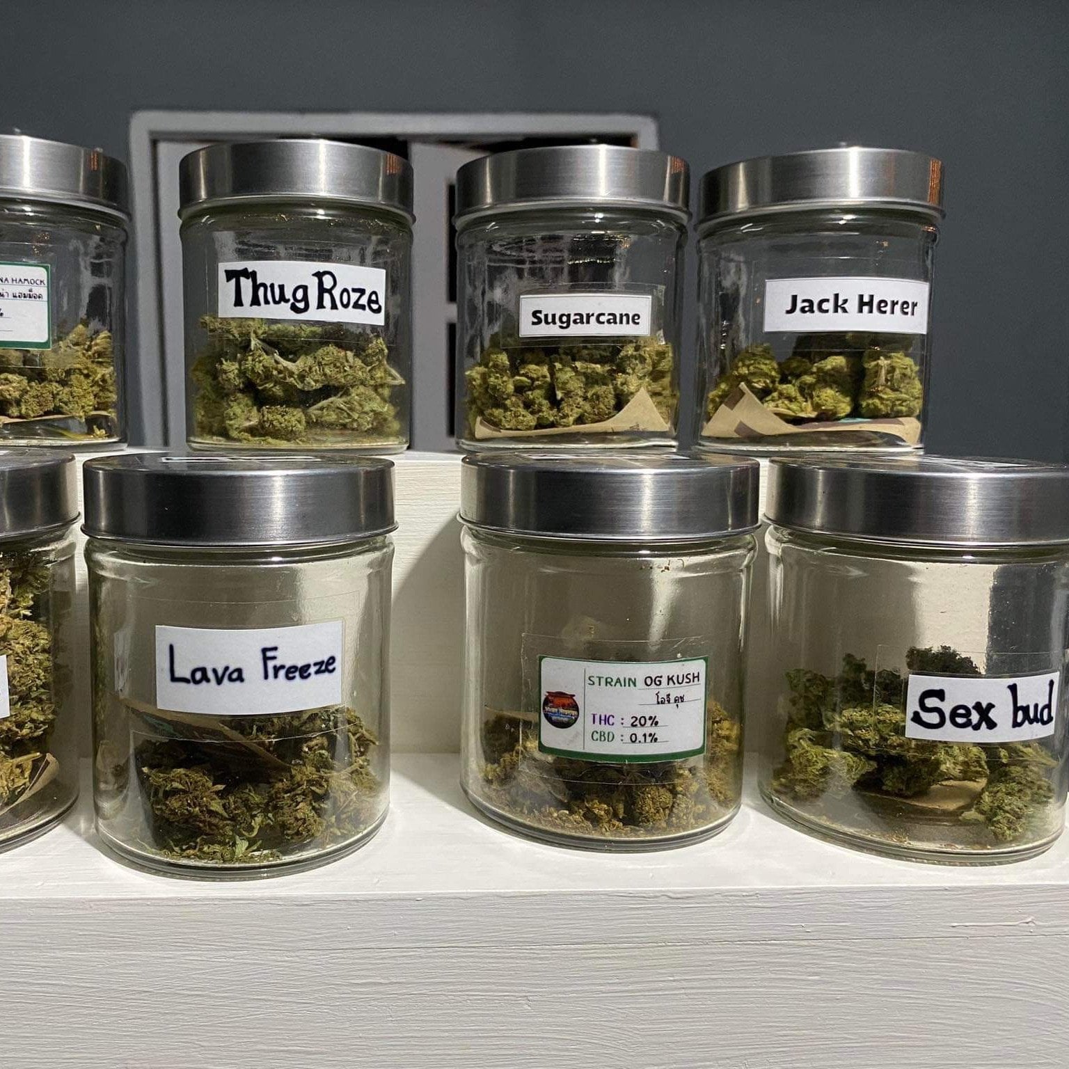 Jack Herer Salok Bat