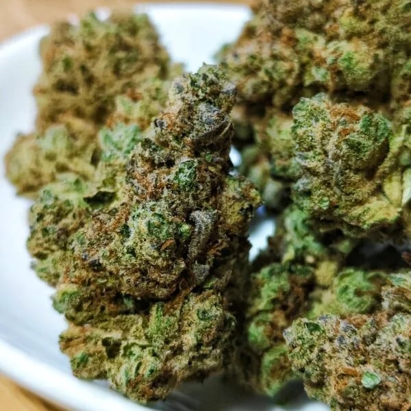 Cannabear