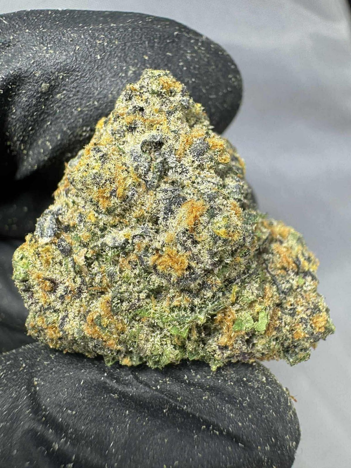 The Hidden Lounge By White Lily Cannabis And