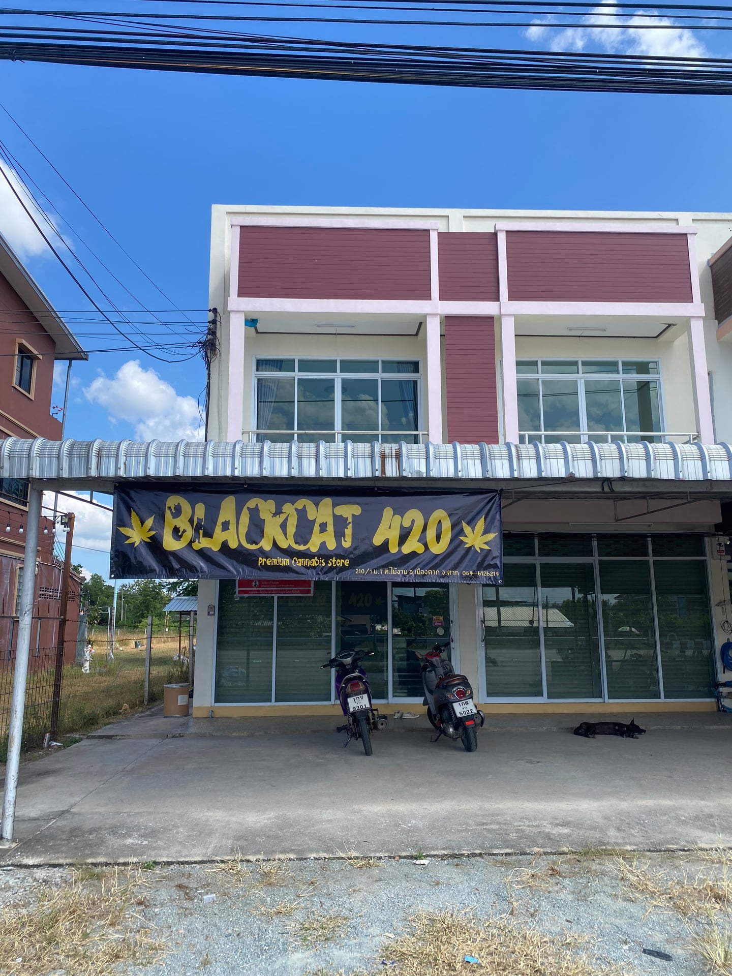 Black Cat 420 V.2