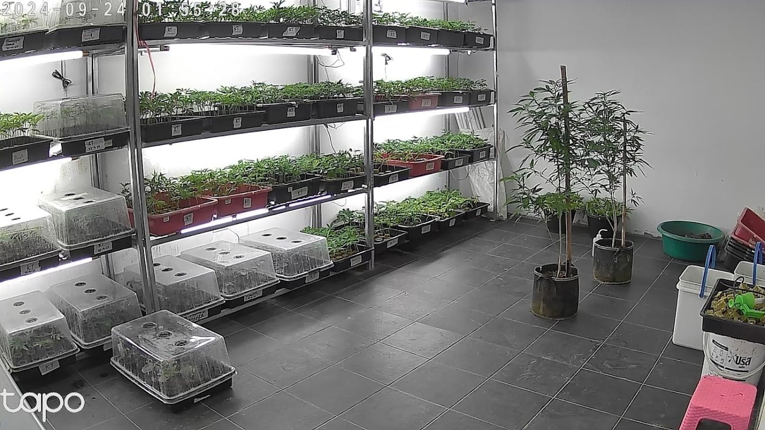 Cannabis Farm North Ccmof