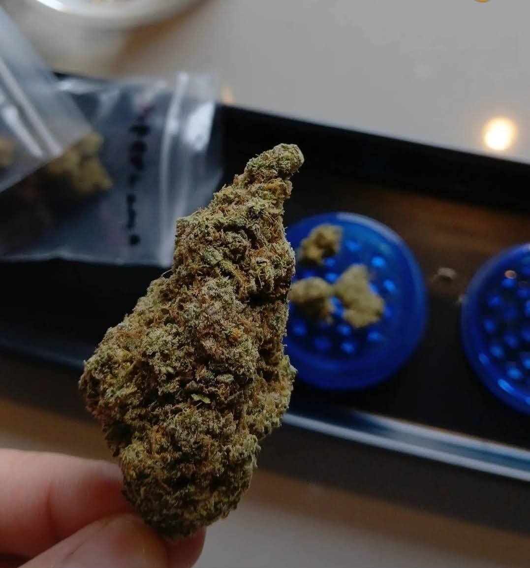 Kanta Cannabis