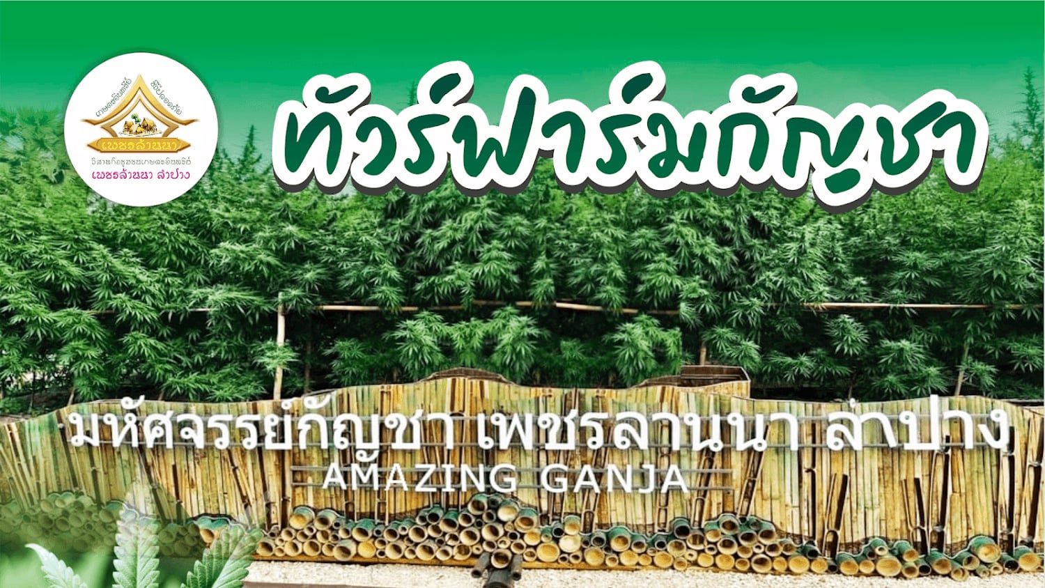 Pethlanna Organic Farm