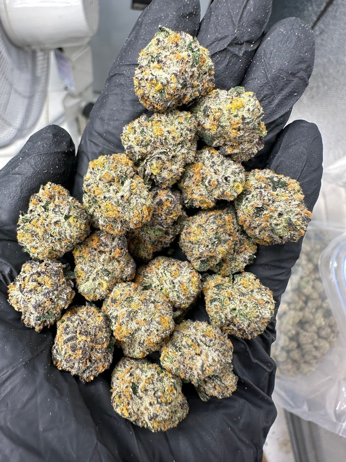 Sweet Cannabis
