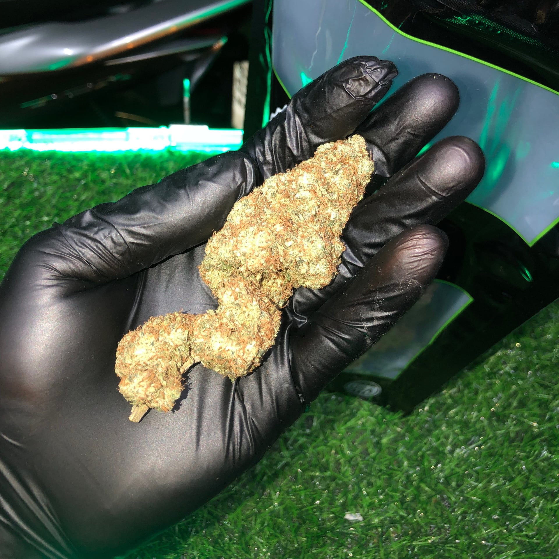 Nori Cannabis Way