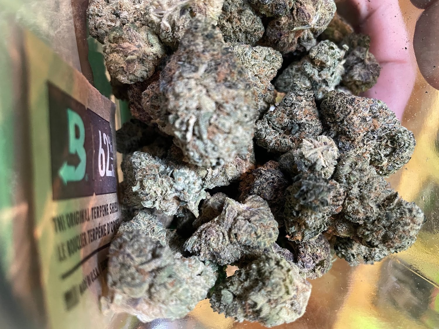TermGun Amata Cannabis