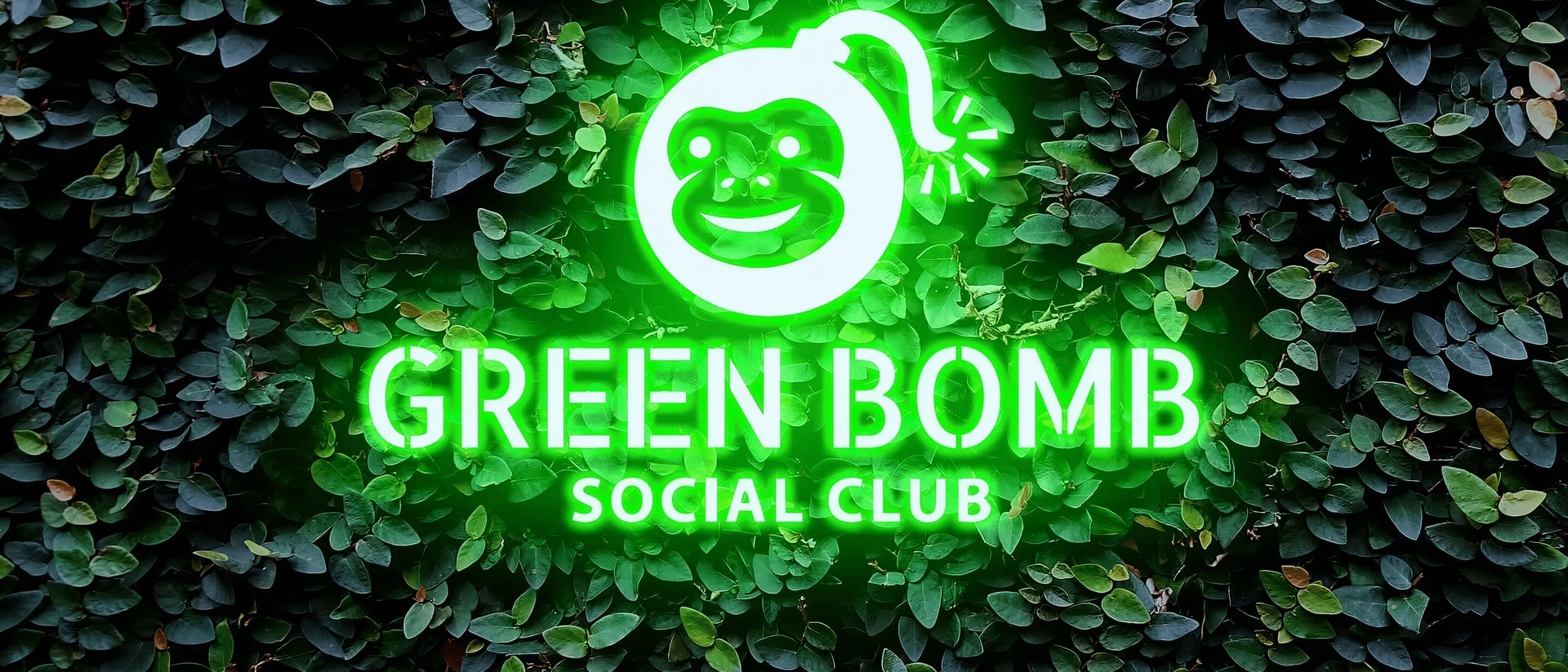 Green Bomb hero