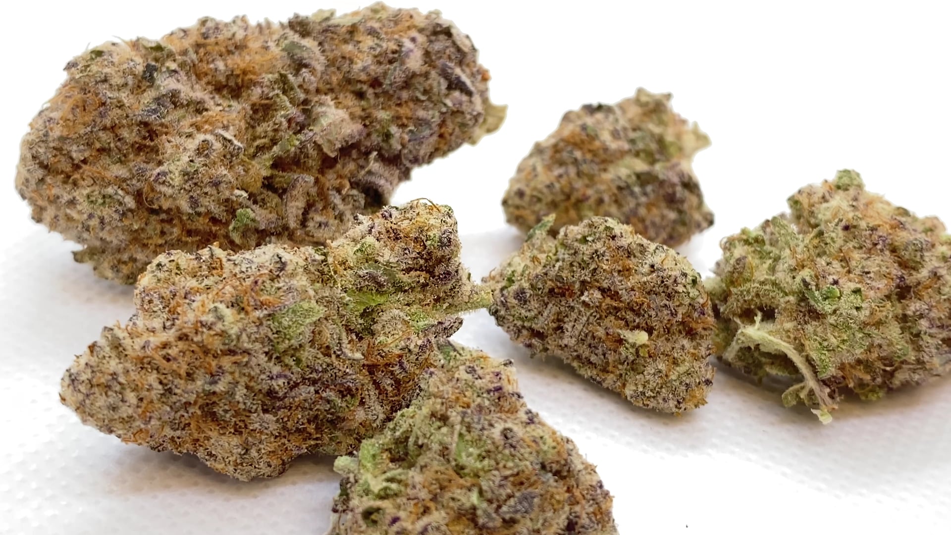 Cannabis Phuket Bulldog