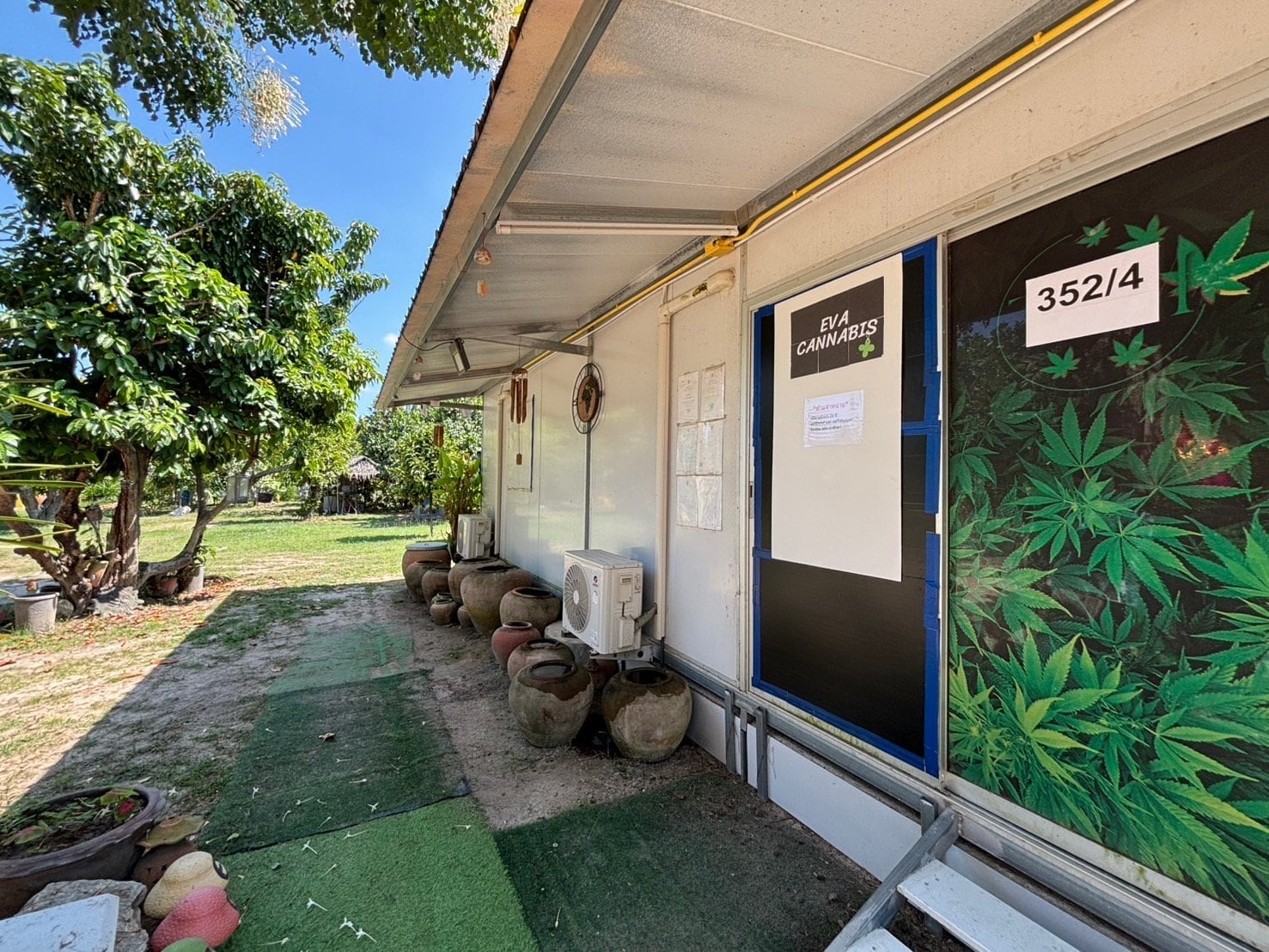 Eva Cannabis