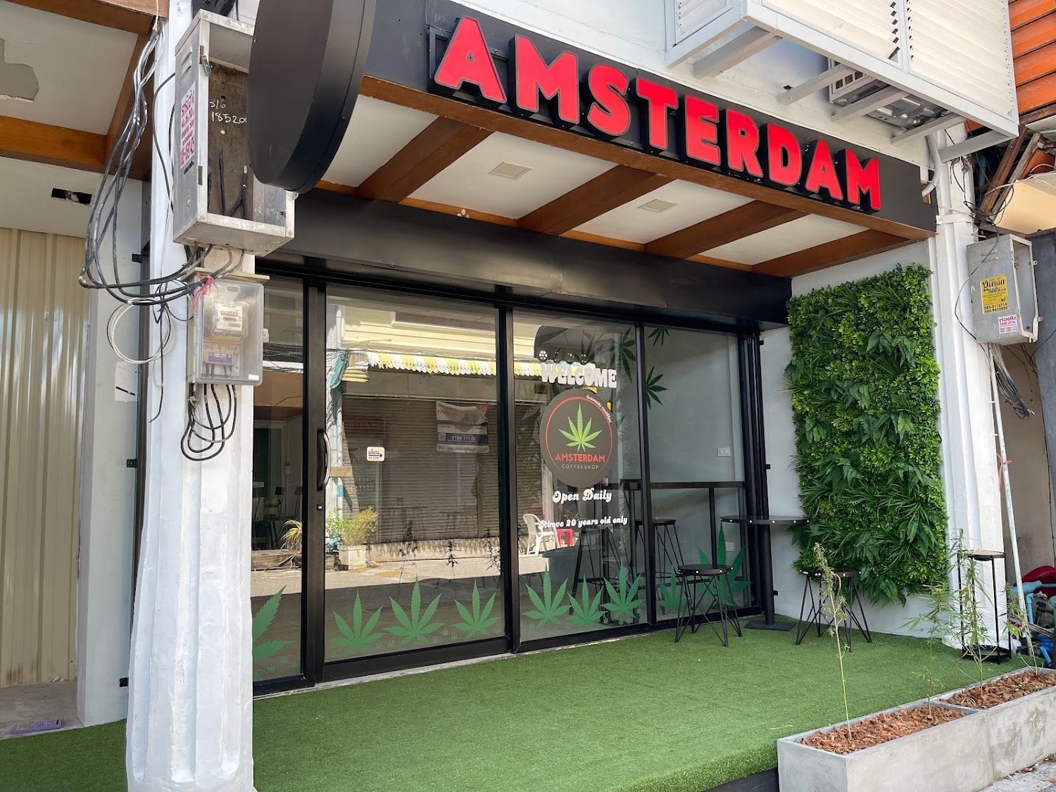 Cannabis Shop Amsterdam Patong