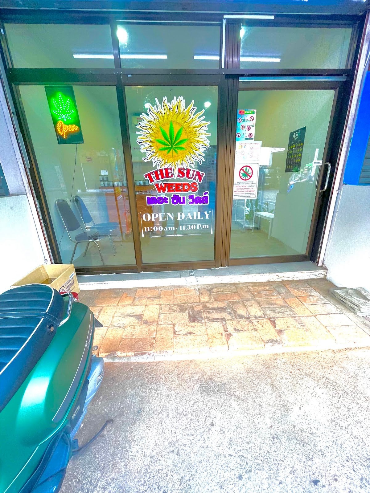The Sun Weeds