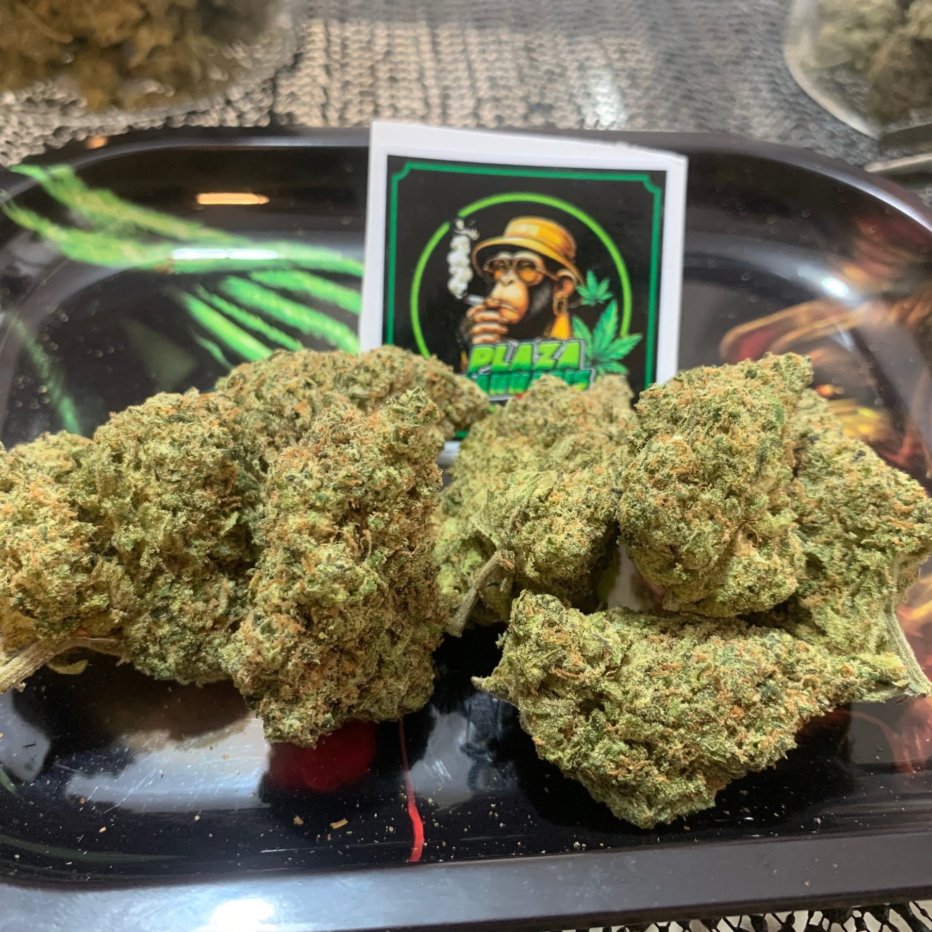 Plaza Cannabis Station