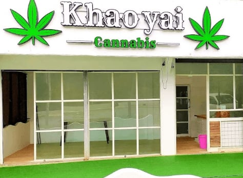 Cannabis Khaoyai Pakchong