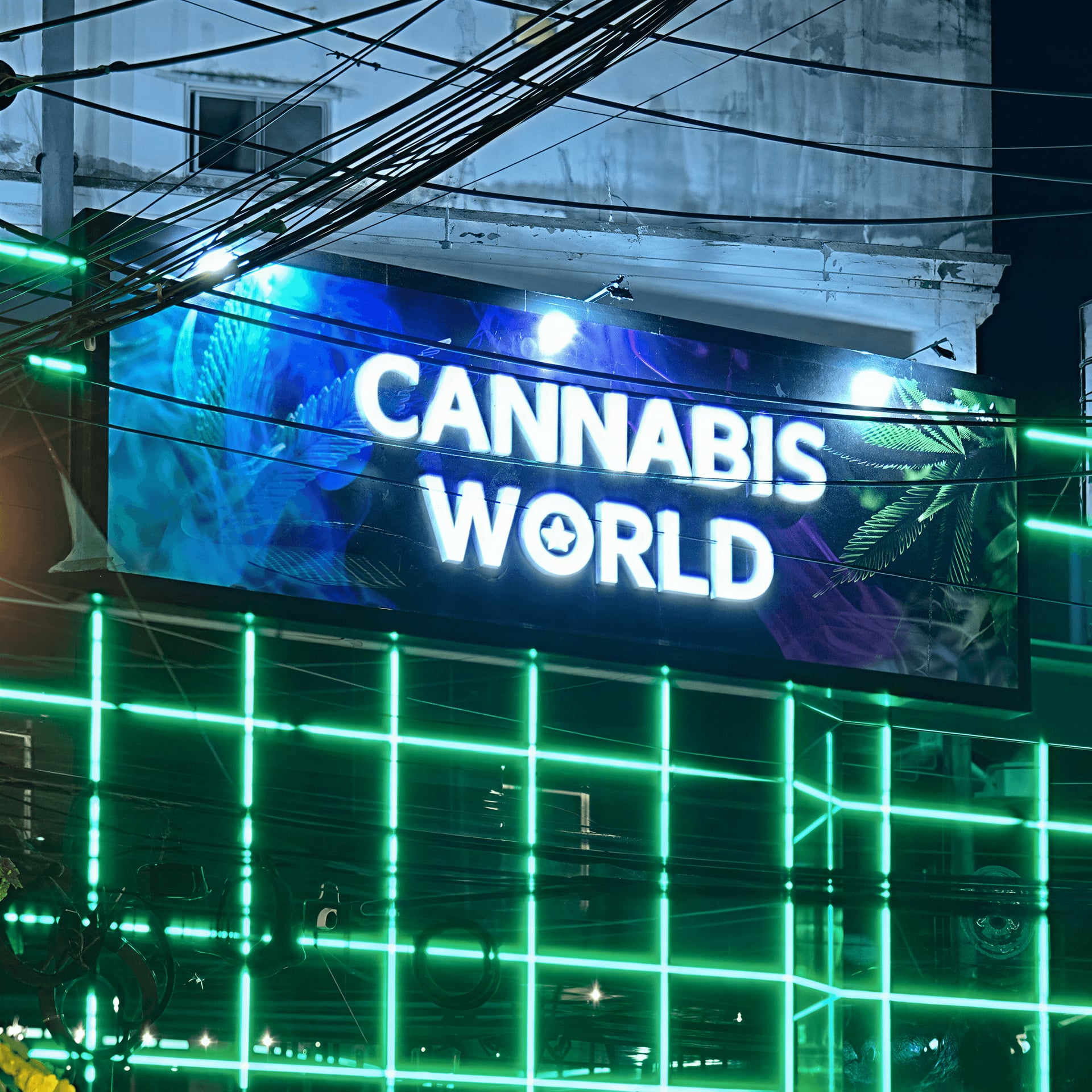 大麻社交俱乐部 Cannabis World 标志