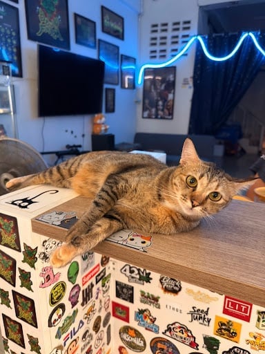 Ba-Lu Home
