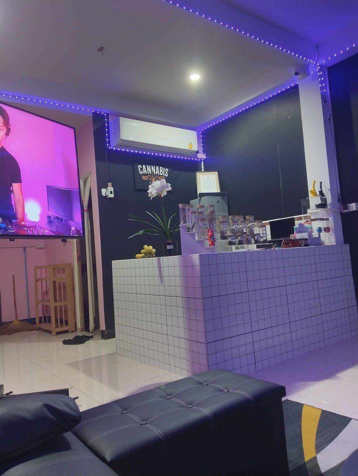 French Cannabis Connection Dispensary Weed & Store Motorbike Kamala
