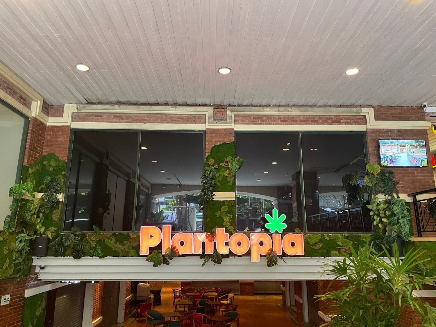 Plantopia - Weed City